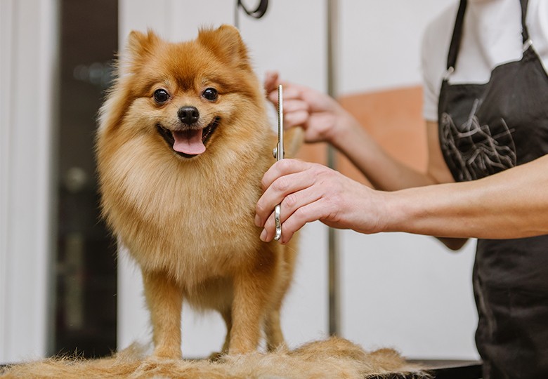 Grooming